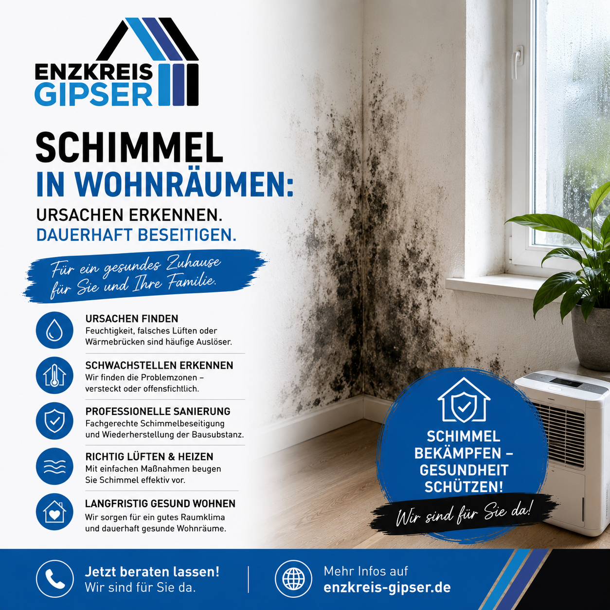 Schimmel in Wohnräumen: Ursachen erkennen und dauerhaft beseitigen