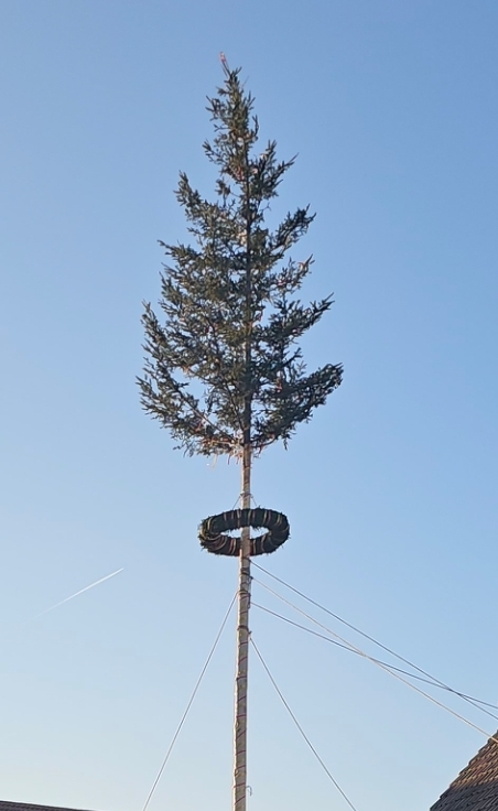 Maibaumstellen am 30. April und 1. Mai – gelebte Tradition mit tiefen Wurzeln